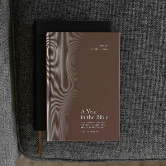 A Year in the Bible | Men's Study | 365 Days of Discovering the Beauty of Jesus from Genesis to Revelation | Volume 2