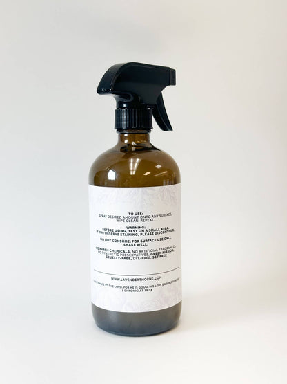 Hello Pumpkin (Fall Multi-Surface Cleaner)