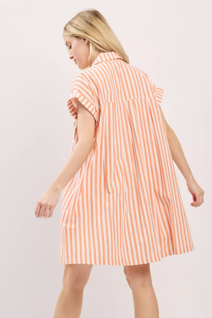 Striped Button Down Dress