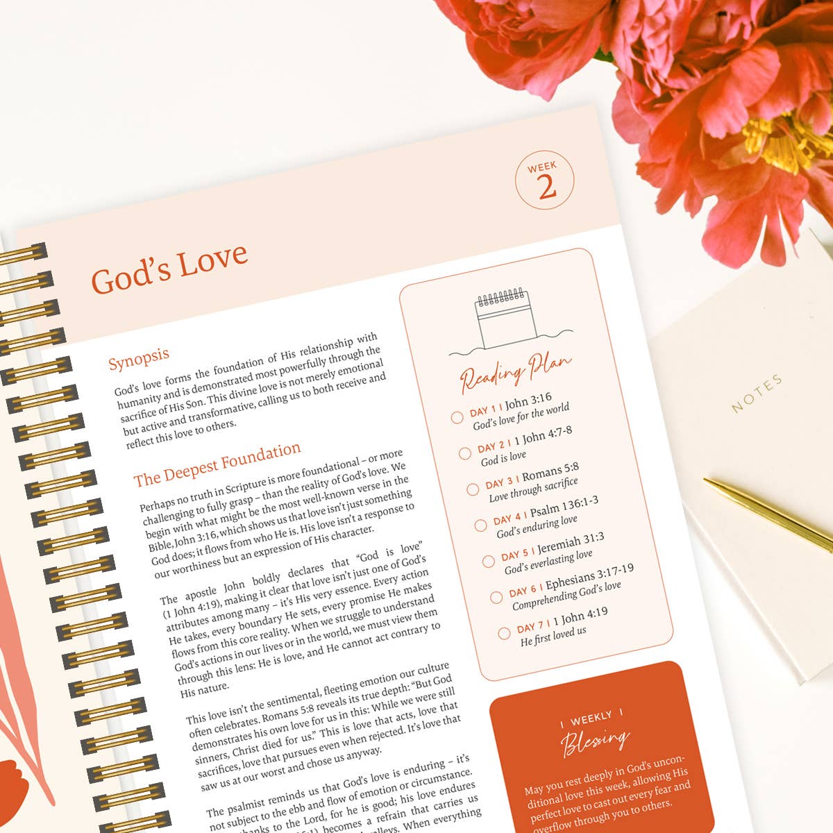 The Bible In A Year: A 52-Week Study