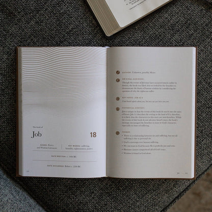 A Year in the Bible | Men's Study | 365 Days of Discovering the Beauty of Jesus from Genesis to Revelation | Volume 2