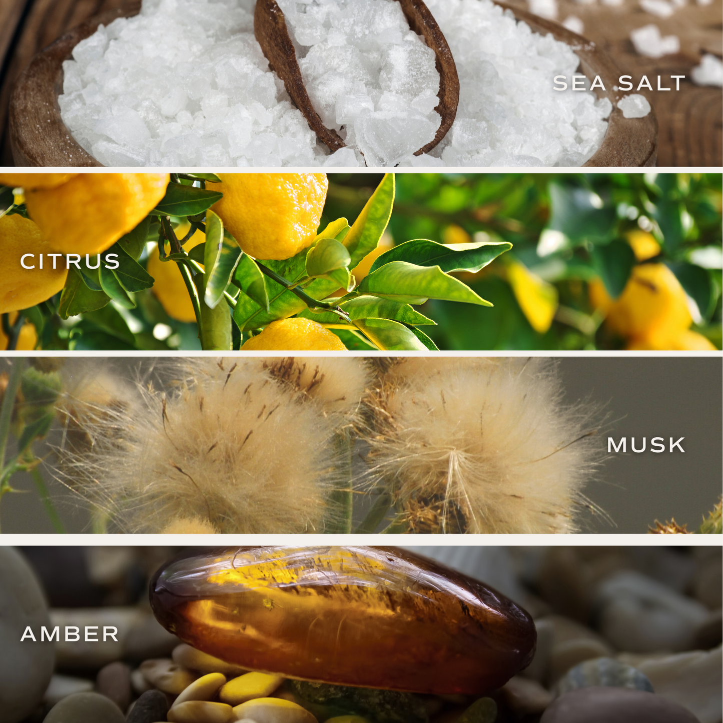 Best Teacher Soy Candle