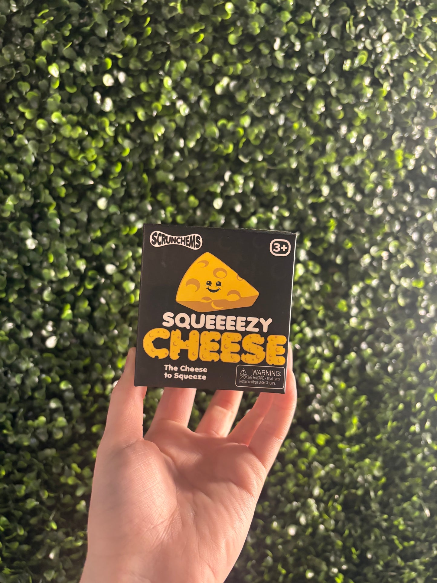Scrunchems Squishy Cheese