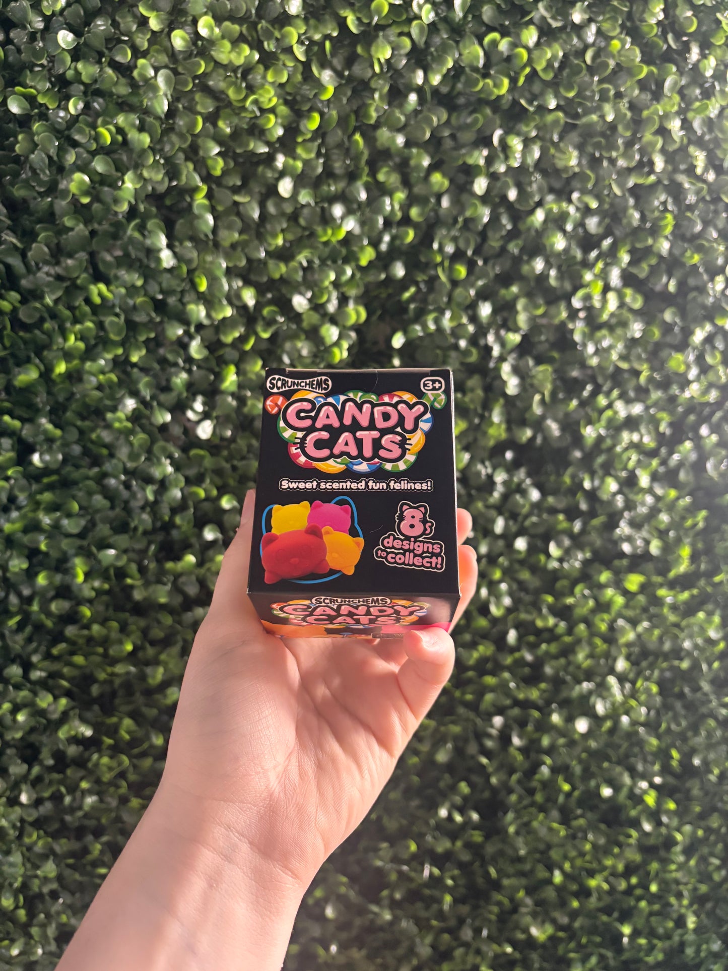 Scrunchems Candy Cats