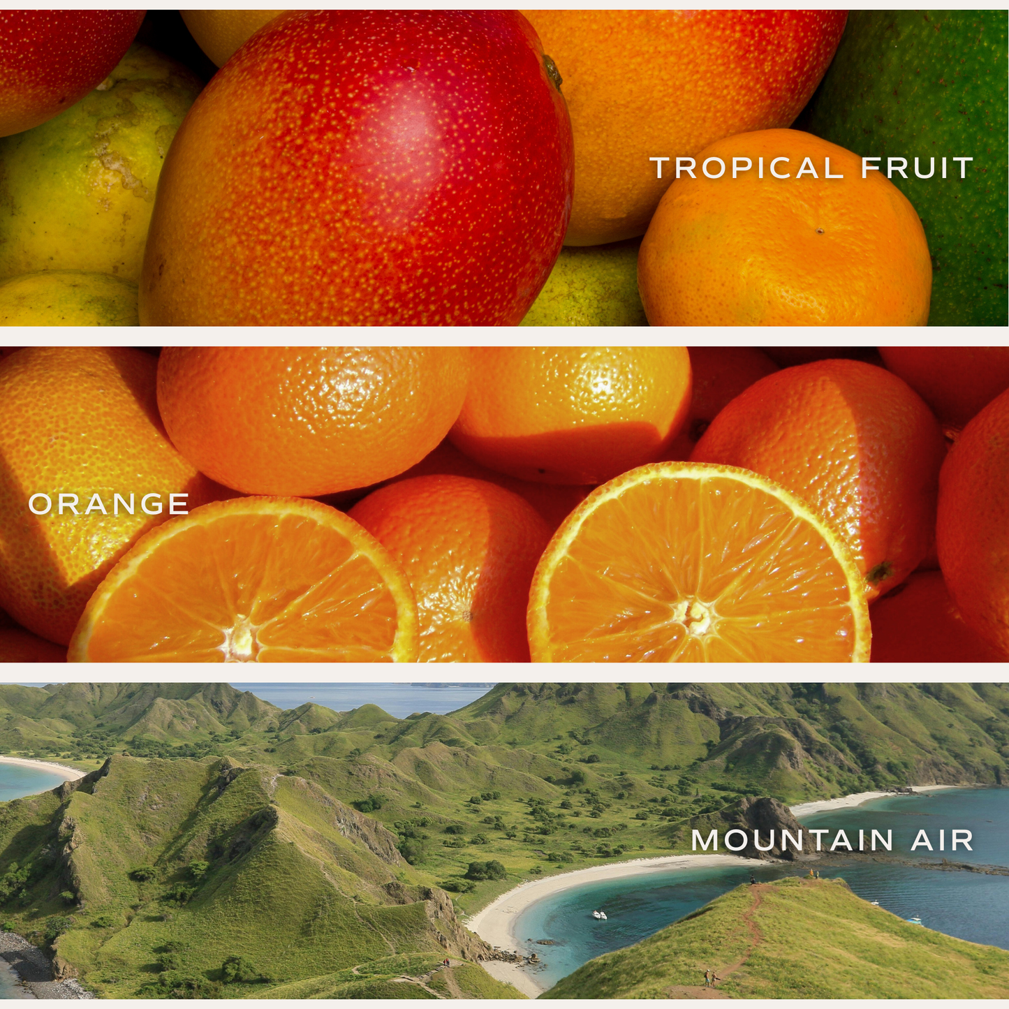 She Believed She Could Soy Candle