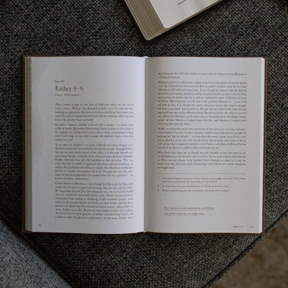 A Year in the Bible | Men's Study | 365 Days of Discovering the Beauty of Jesus from Genesis to Revelation | Volume 2